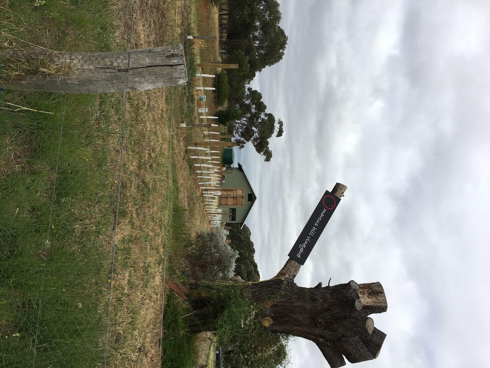Marcus Hill Vineyard