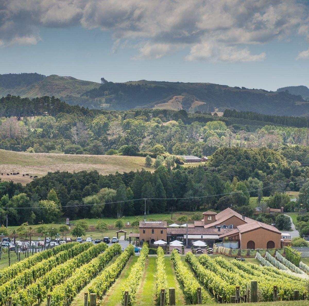 Ascension Cellars