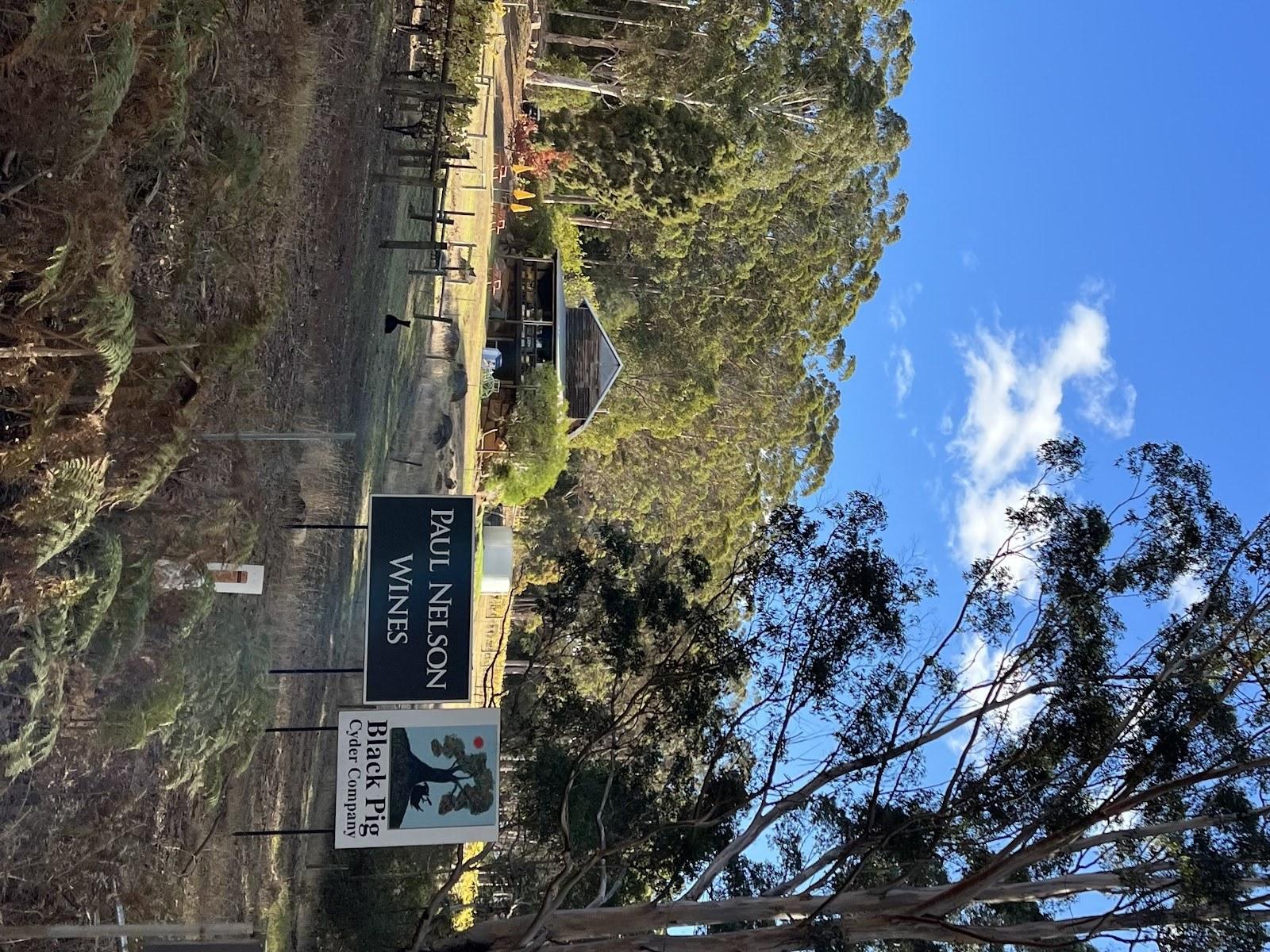 Paul Nelson Wines