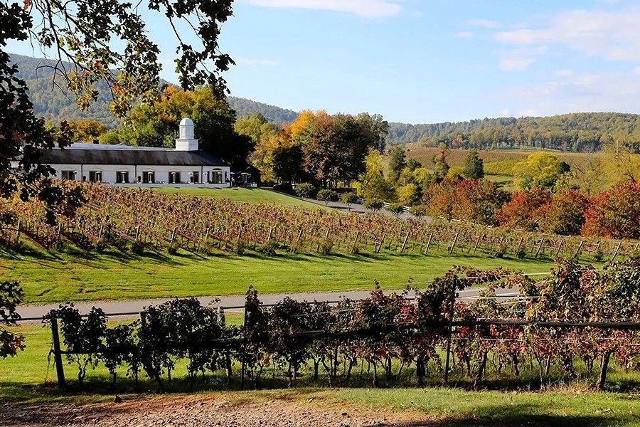 To Kalon Vineyard Company