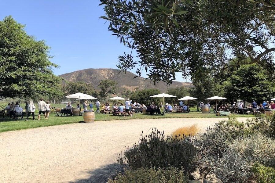 Lafond Winery and Vineyards