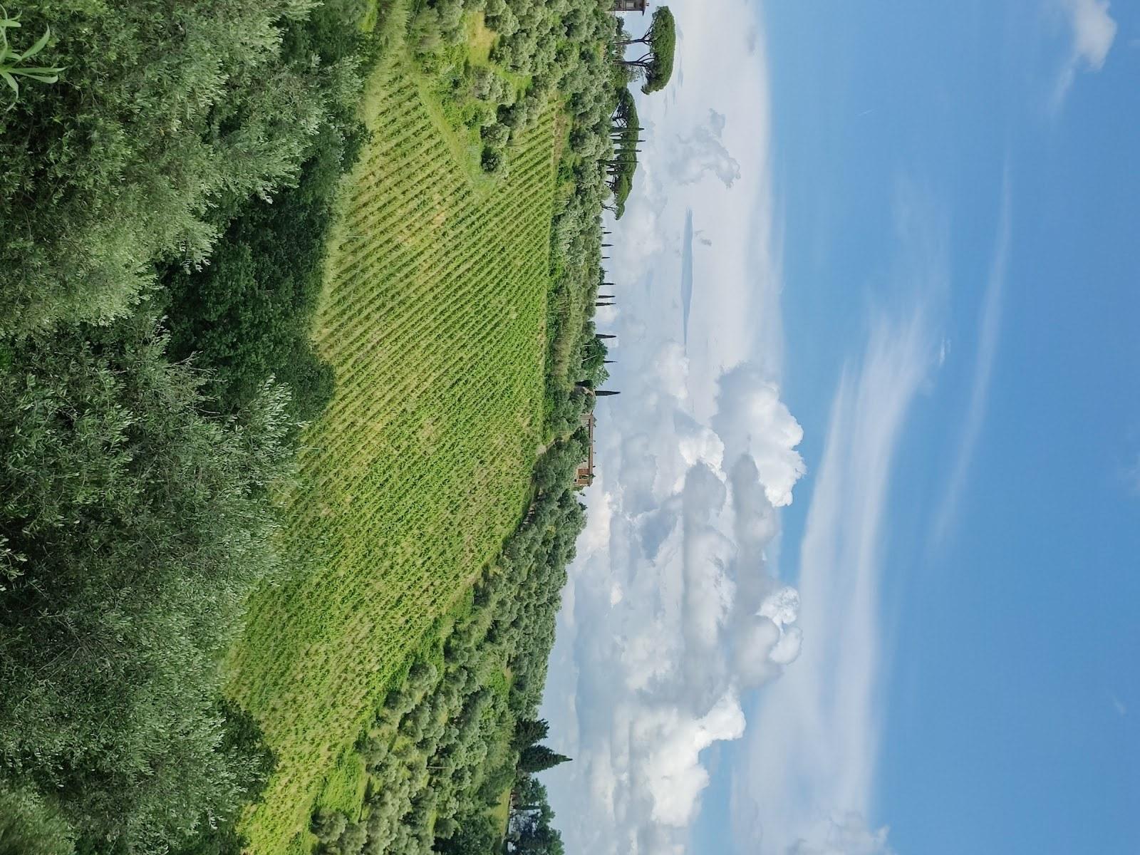 Tenuta di Valgiano