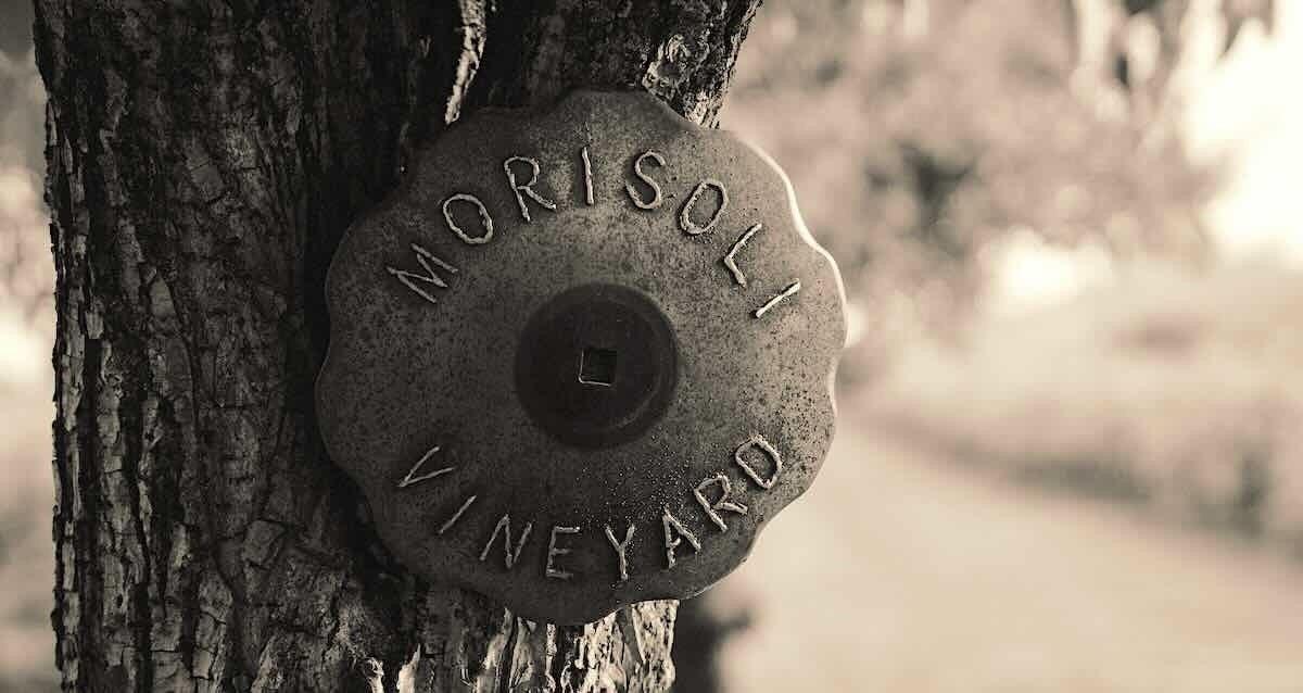 Morisoli Vineyard