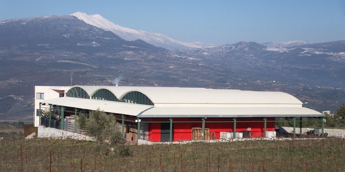 Gaia Wines (Nemea)