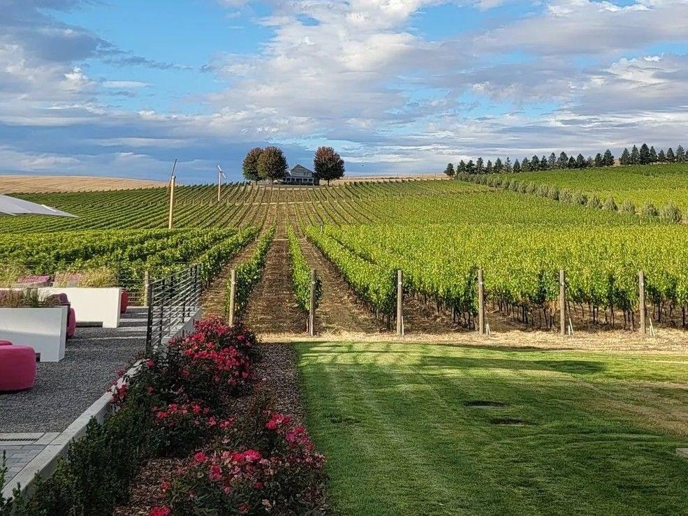 Tesla Vintners