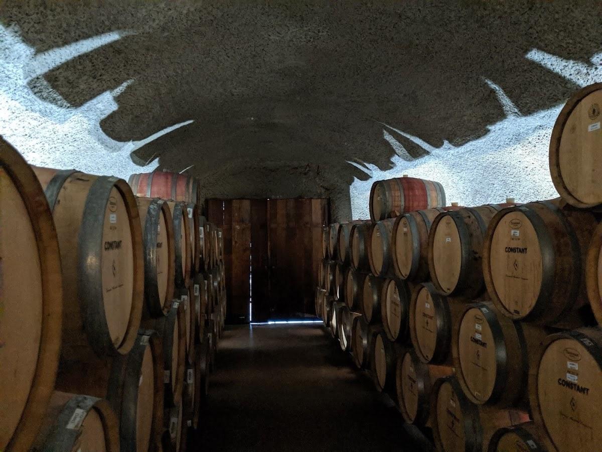 Diamond Mountain Vineyard