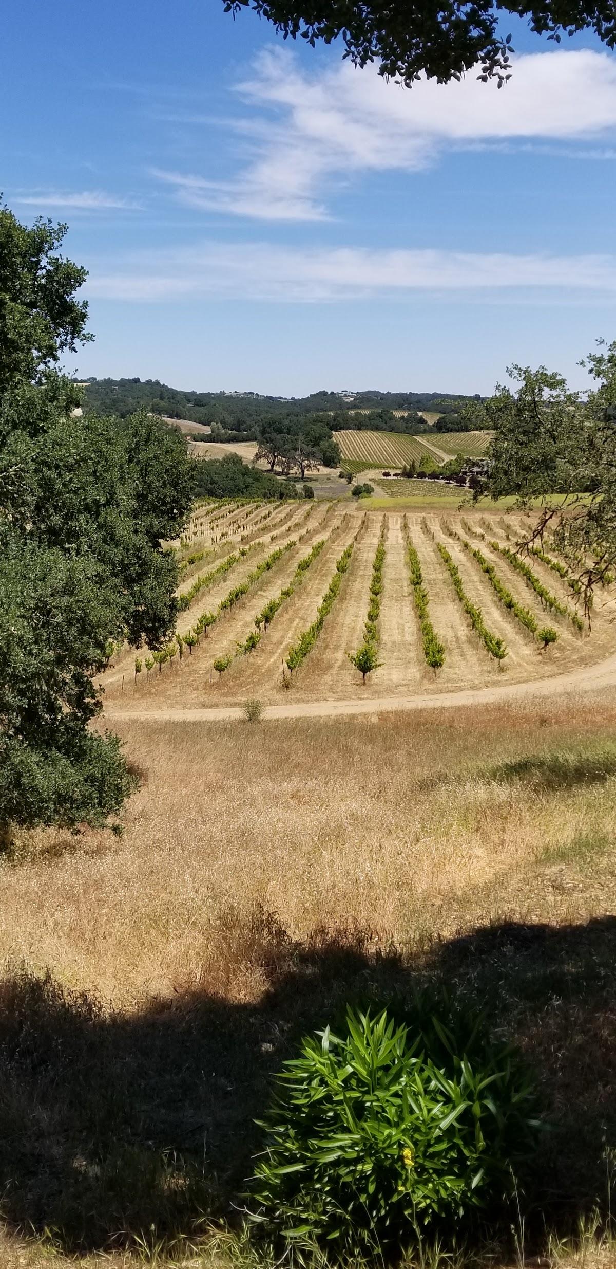Ledge Vineyards