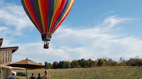 LOUDOUN VALLEY VINEYARDS