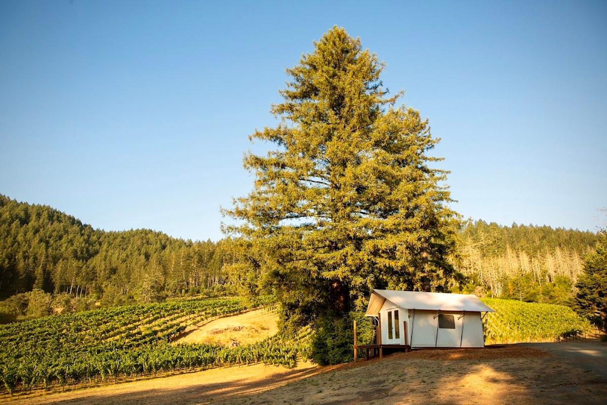 MT. VEEDER WINERY