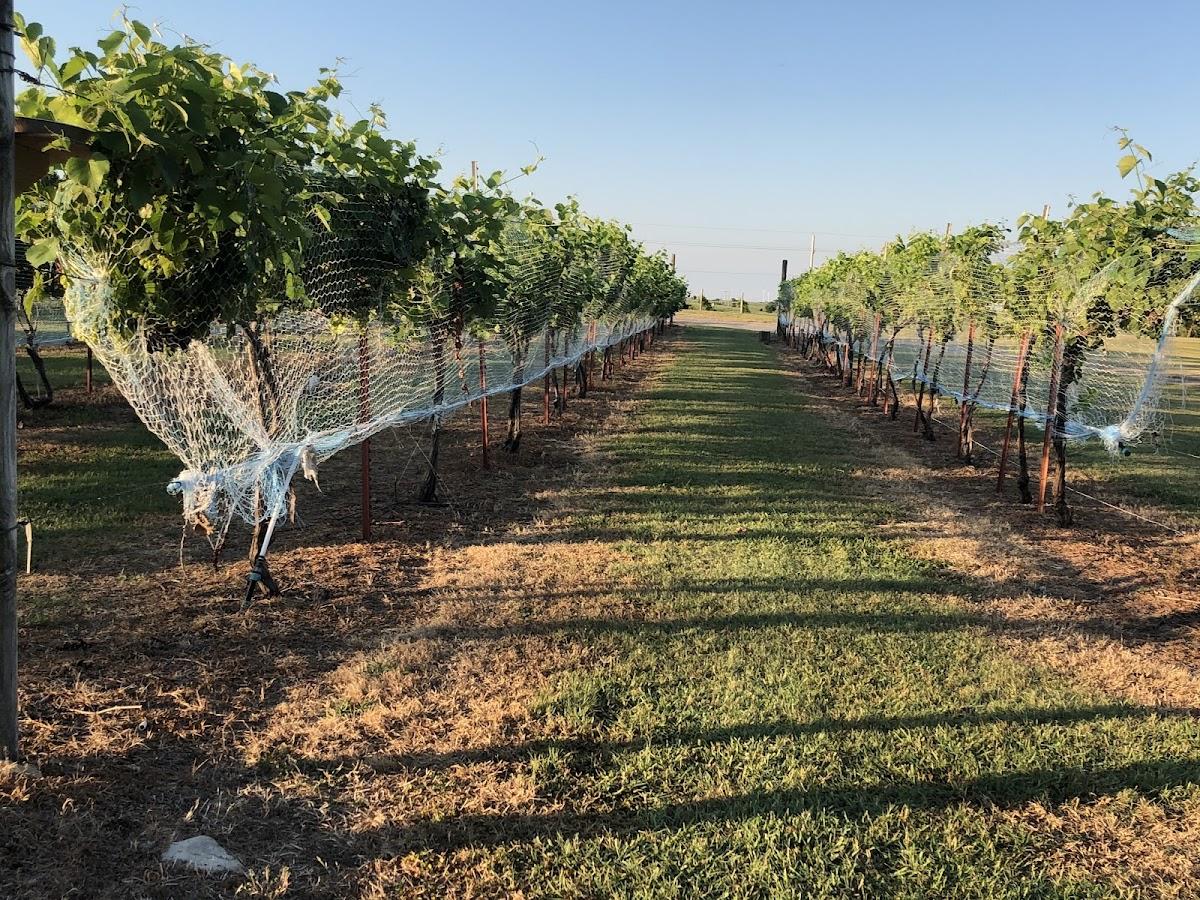 PRAIRIE RATTLER WINERY