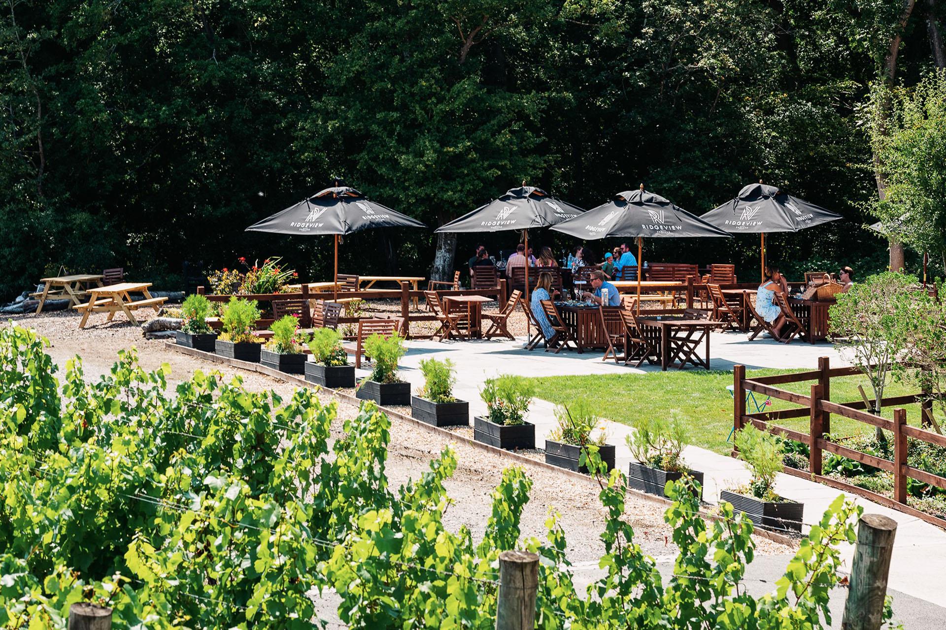 Ridgeview Wine Estate
