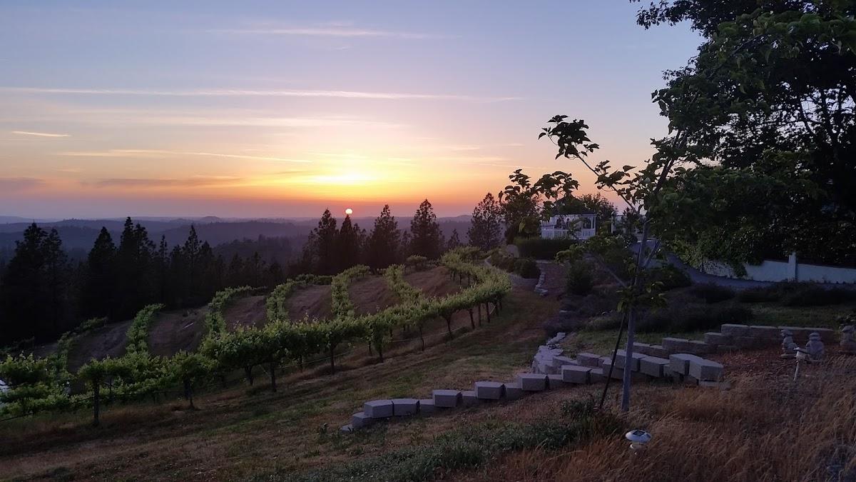 ROME VALLEY VINEYARDS