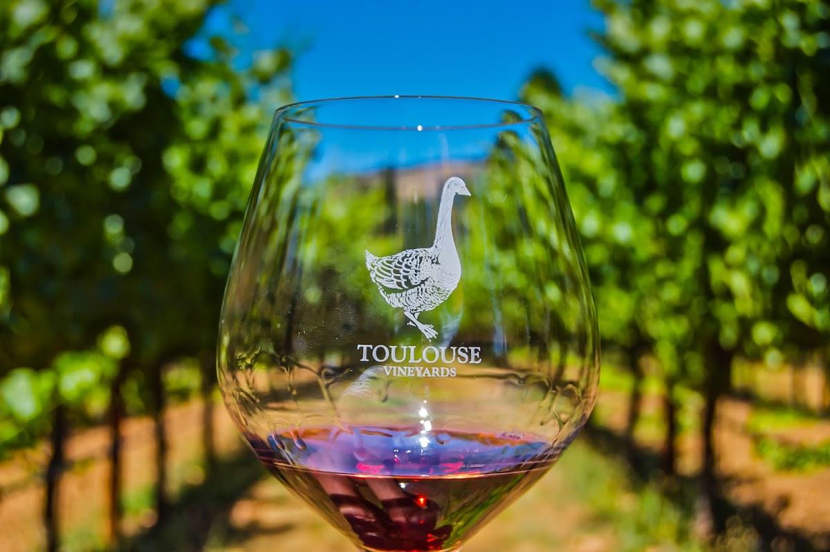 TOULOUSE VINEYARDS