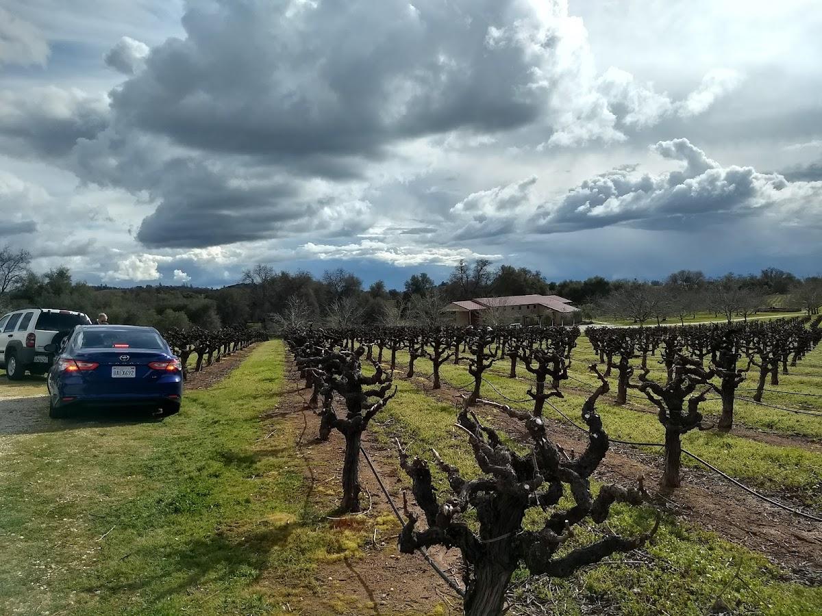 COOPER VINEYARDS, LLC