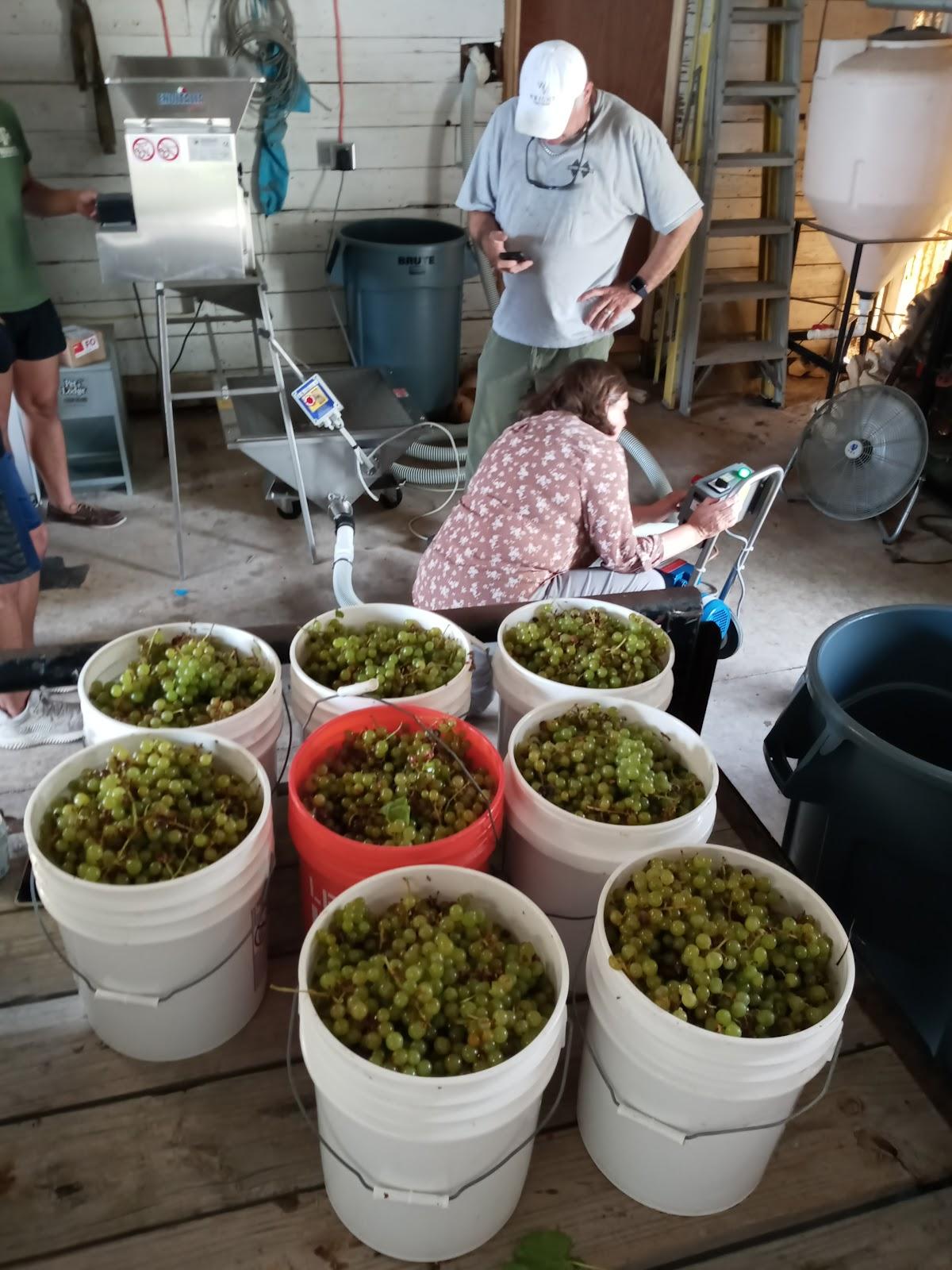 WRIGHT VINEYARDS, LLC